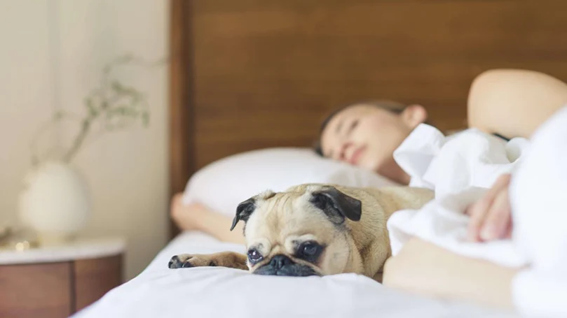 een afbeelding van een vrouw slapend in een bed met haar hond