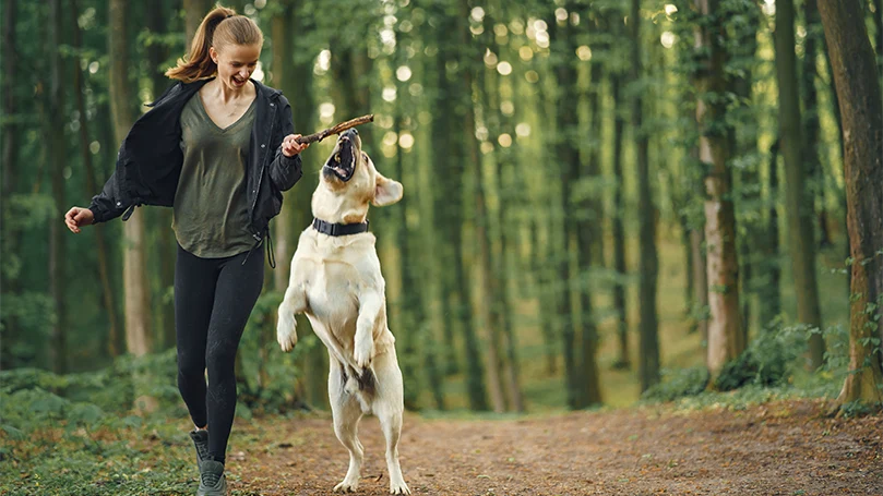 een afbeelding van een vrouw die met een hond speelt