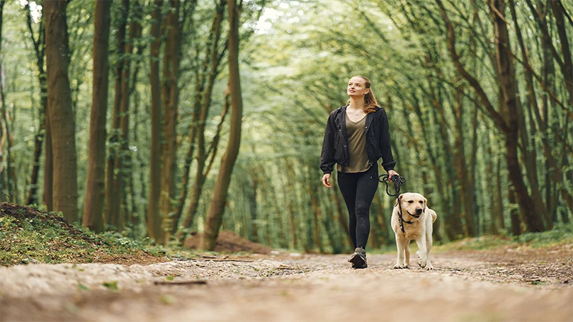 een afbeelding van een vrouw die met haar hond wakker wordt in het bos