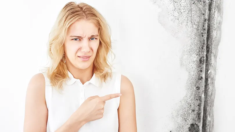 Een afbeelding van een vrouw met water- en schimmelvlekken op de muur.