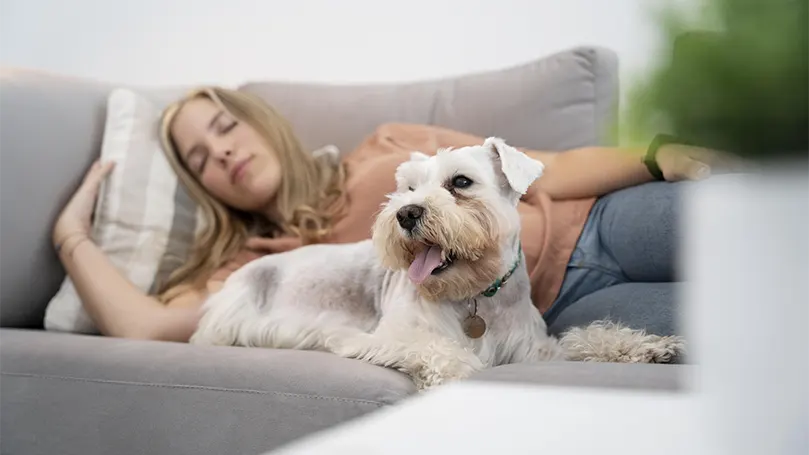 Een afbeelding van een vrouw die met een hond op een bank slaapt.