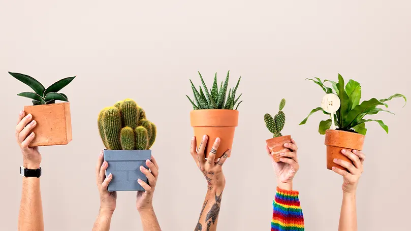 Een afbeelding van mensen die potten met planten in de lucht houden