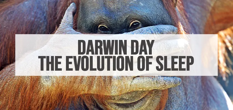 Aanbevolen afbeelding voor Darwin Dag - De evolutie van slaap