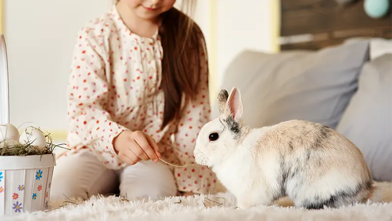 Een afbeelding van een konijn op een bed