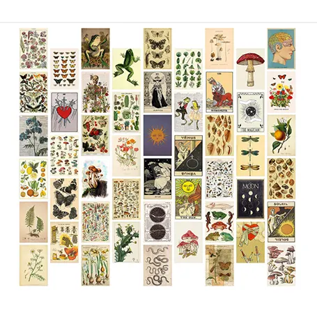 50 stuks Botanische muurcollage set